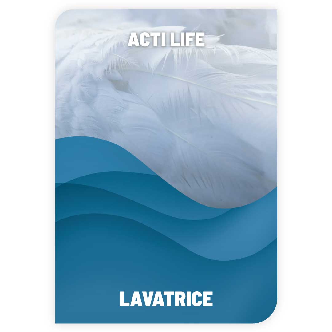 Detersivo Lavatrice Actilife (tipo Dash)