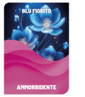 Ammorbidente Blu Fiorito