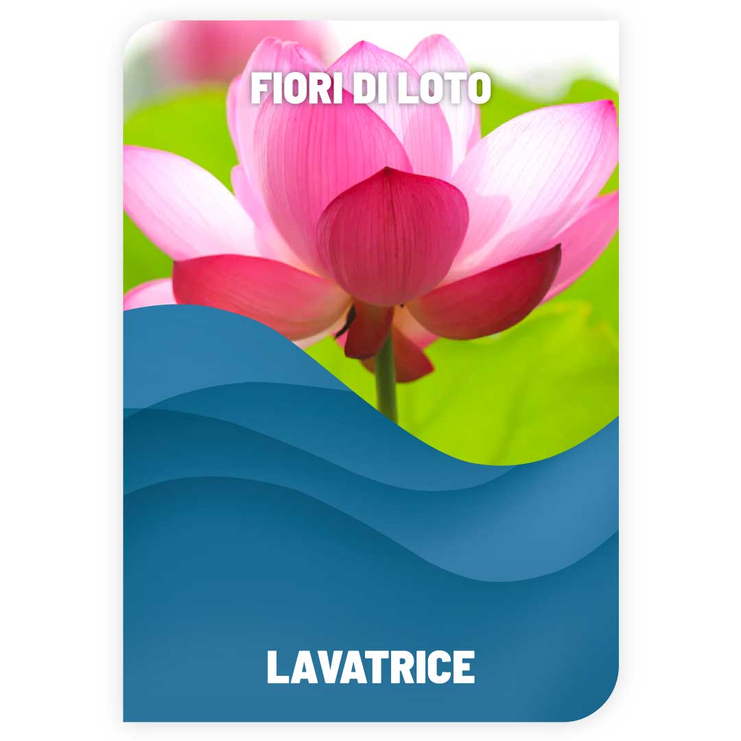 Detersivo Lavatrice - Fiori di Loto